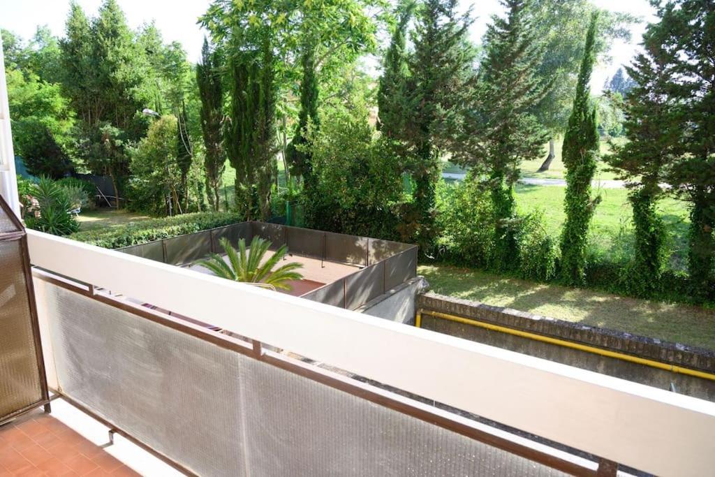 Laura Sweet Home Con Piscina Roma Dış mekan fotoğraf