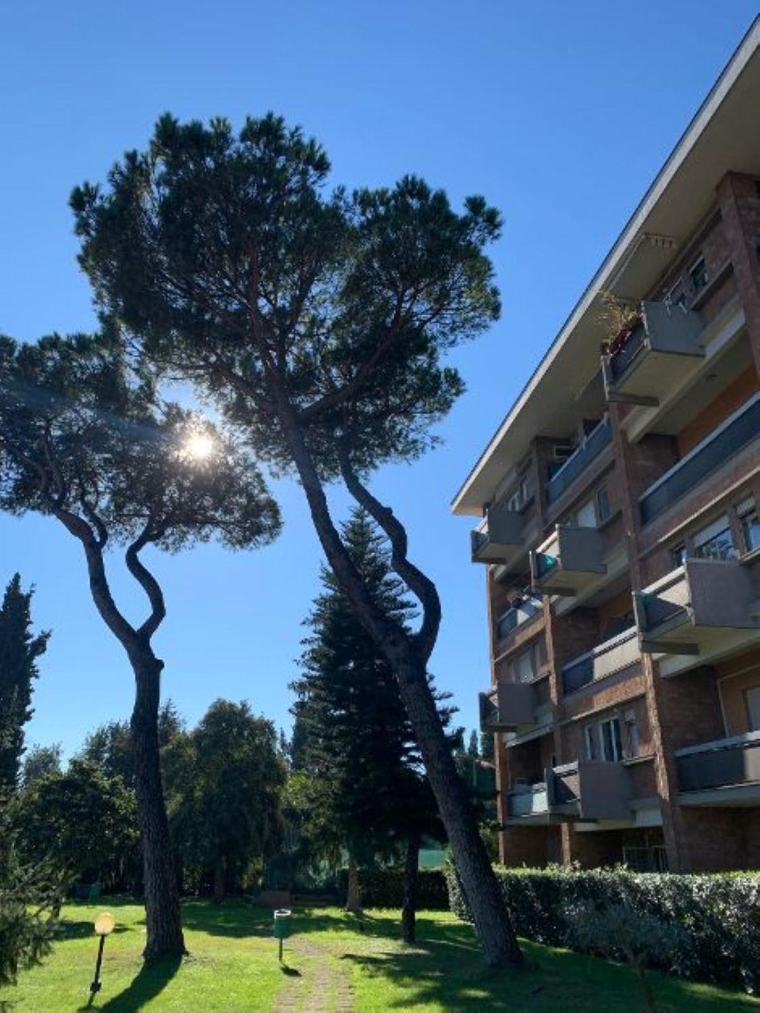 Laura Sweet Home Con Piscina Roma Dış mekan fotoğraf