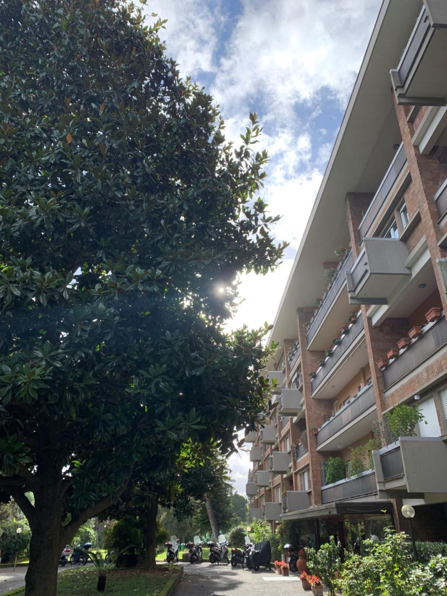 Laura Sweet Home Con Piscina Roma Dış mekan fotoğraf